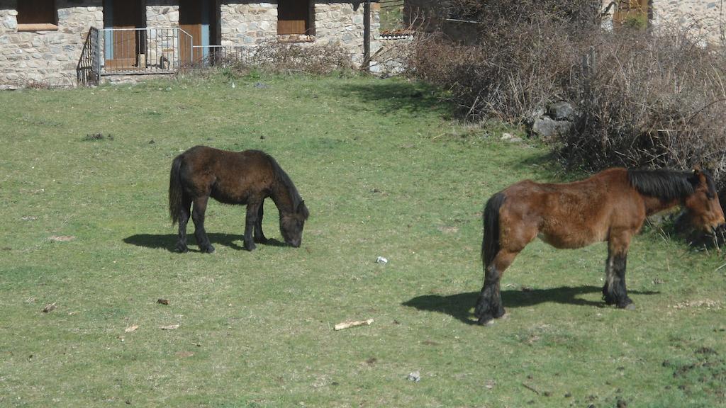 El Rincon De Zaldierna Eksteriør billede